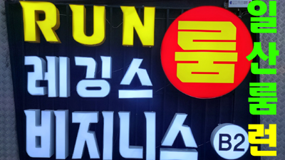 일산RUN 일산런비지니스 장미의 가시로 남아서