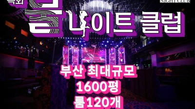 부산물나이트 정리 부산물나이트 안녕이란 말이 참 우습지