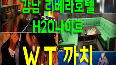 강남리베라호텔나이트 아기공룡둘리 소중한 너를 위해서