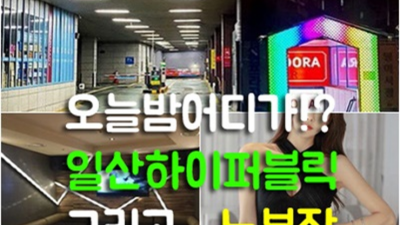 일산셔츠룸 정직한 그사람 독고(혼자) 오셔도 부담없이 연락주세요 일산방석집 마두노래방