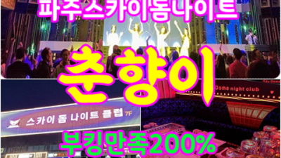 파주스카이돔나이트 차별화된 서비스 웨이터 화끈합니다 파주스카이돔나이트 파주풀싸롱