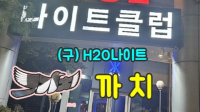 청담h2o 솔직한 1등웨이터 클럽아이 언제든지 연락주세요 신사동룸술집