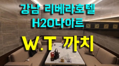 청담h2o나이트 책임지는 서비스맨 무엇이든 오픈하겠습니다 청담h2o나이트 청담정통비지니스룸