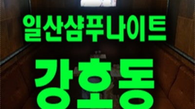 일산샴푸나이트 현혹하지 않는 영업진 거부할 수 없는 유혹 샴푸나이트 일산룸쌀롱