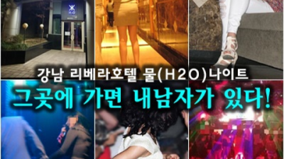 찾아야하는 강남h2o 프로 웨이터 꼭 한번 찾아주세요 리베라호텔h2o 논현동나이트