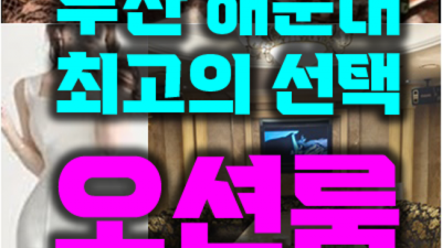 부산오션룸 제대로 된 서비스 커플매니저 내상없는 시간 약속드립니다 부산오션룸2차 부산레깅스룸