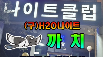 찾아야하는 강남h2o 서비스맨 압구정나이트 꼭한번찾으세요 청담풀