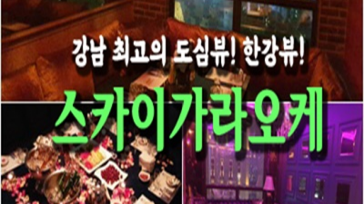 논현동가라오케 최저가 커플맨  잘해드릴 수 있습니다 논현동비지니스룸