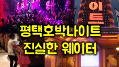 평택호박나이트 센스쟁이 커플매니저 오히려 유흥의 꽃은 혼자입니다 평택호박나이트 룸가격 평택유흥업소