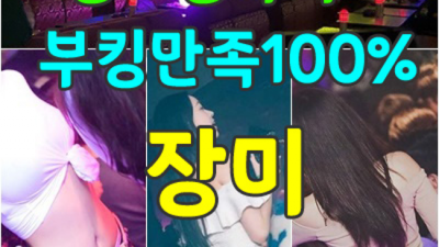 김포썸나이트 서비스짱 여자웨이터 확실한 케어 약속드립니다 김포나이트 썸 구래동여알바