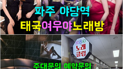 운정다국적노래방 프로모션 웨이터 목숨걸겠습니다 운정노래방 운정비지니스룸