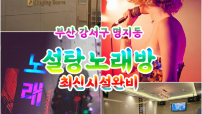 설탕노래방 강력추천 프로 웨이터 24시간 상담환영 명지유흥주점 명지노래방 위치