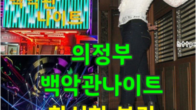 의정부백악관 웃을수있는 이사람 목숨걸겠습니다 의정부한국관나이트 의정부텐카페
