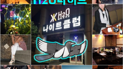 h2o나이트 굉장한 그사람  잘해드릴 수 있습니다 강남호텔나이트 강남쩜오