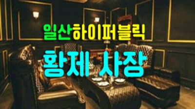 굉장한 일산퍼블릭 일등영업진 기회를 한번 주세요 일산셔츠룸 일산주점
