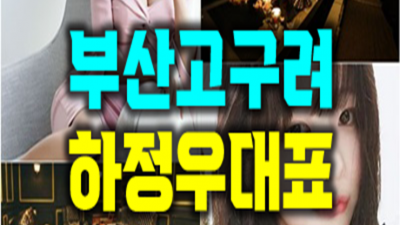 부산고구려 믿을만한 서비스맨 최선을 다하겠습니다 부산해운대룸알바 부비주소
